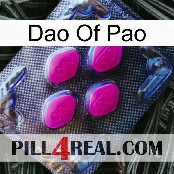 Dao Of Pao 02.jpg